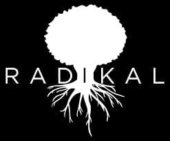 Penceramah Yang Dilabeli Radikal