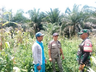 Cegah Karhutla di Tengah Kemarau Panjang, Sertu Ramadhan Sisir Tapal Batas Kemuning